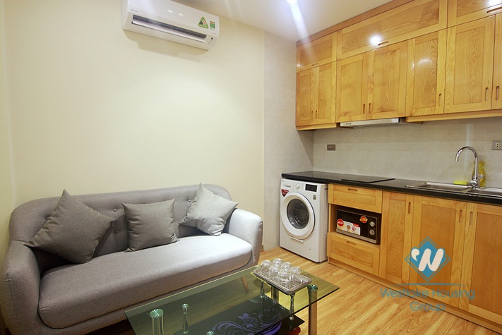 A cozy and good-priced apartment for rent on Dang Thai Mai street