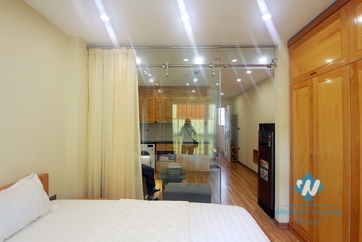 A cozy and good-priced apartment for rent on Dang Thai Mai street