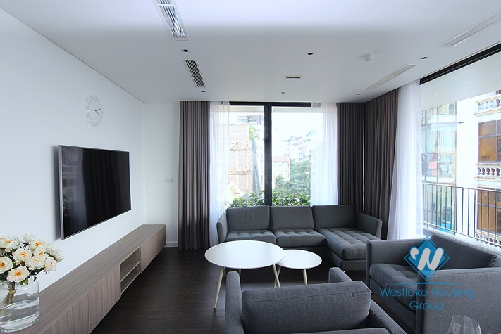 An amazingly beautiful apartment for rent in Tay Ho