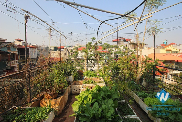A three-bedroom house with a nice garden on Dao Tan street, Ba Dinh, Hanoi
