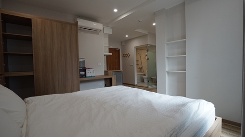 Stylish studio apartment on Dao Tan Str
