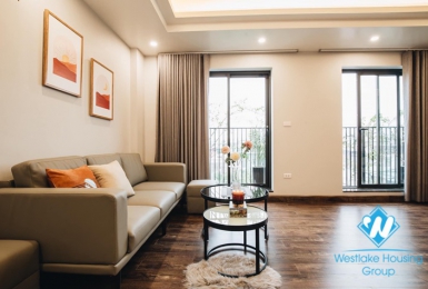 New modern 2 bedroom apartment for rent in Au Co street, Tay Ho district.