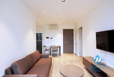 A brand new and modern apartment for rent in Tay ho, Ha noi