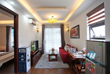 Brand-new 1 bedroom apartment in Dao Tan Ba Dinh