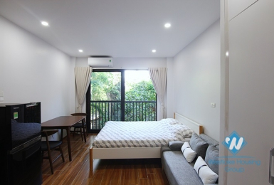 Bright studio with green view for rent in Dang Thai Mai area, Tay Ho district