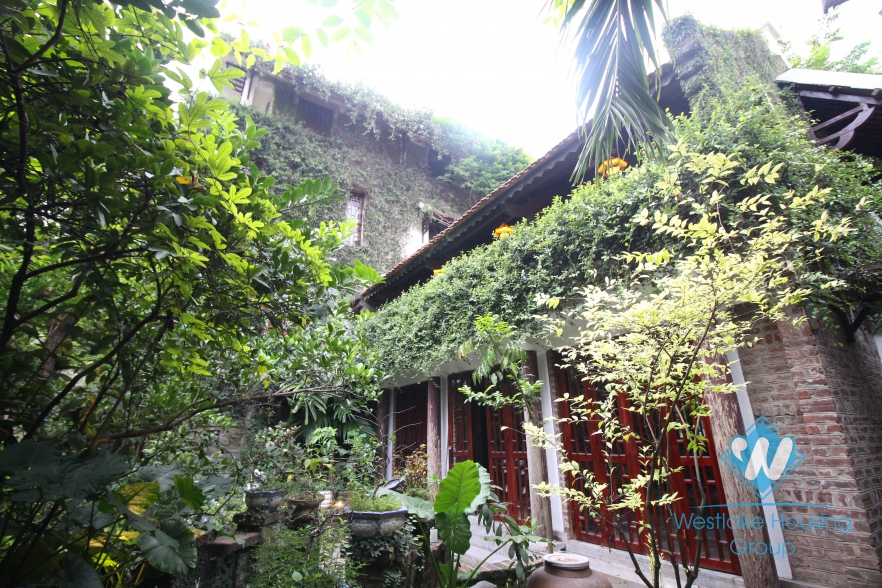 A unique villa with a luscious garden and swimming pool for rent in Tay Ho