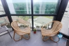 Nice penthouse apartment for rent in Ba Dinh District 