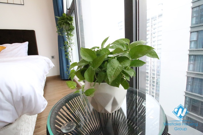 A well-designed apartment for rent in Vinhome Metropolis, Ba Dinh
