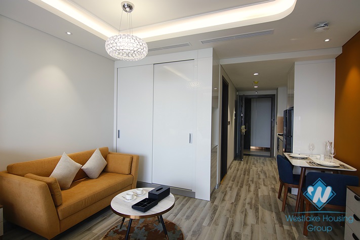 A luxurious apartment for lease in Giang Vo street, Ba Dinh, Ha Noi