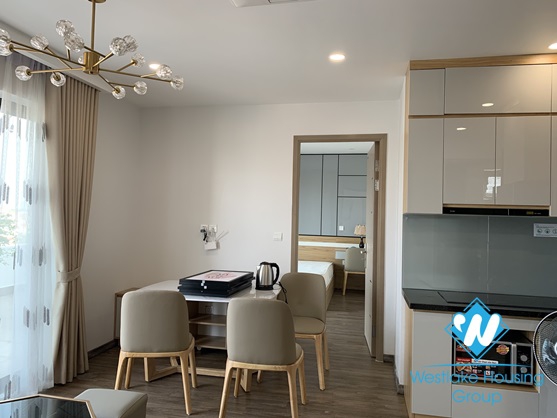 A brand new, elegant style 2 bedroom apartment for rent on Trinh Cong Son street