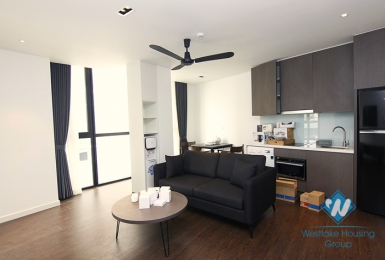 A brand new one bedroom apartment for rent in Buoi street, Ba Dinh