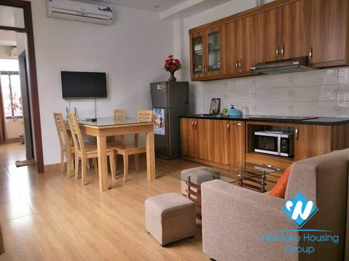 Brand new modern apartment for rent in Xuan Dieu Street 