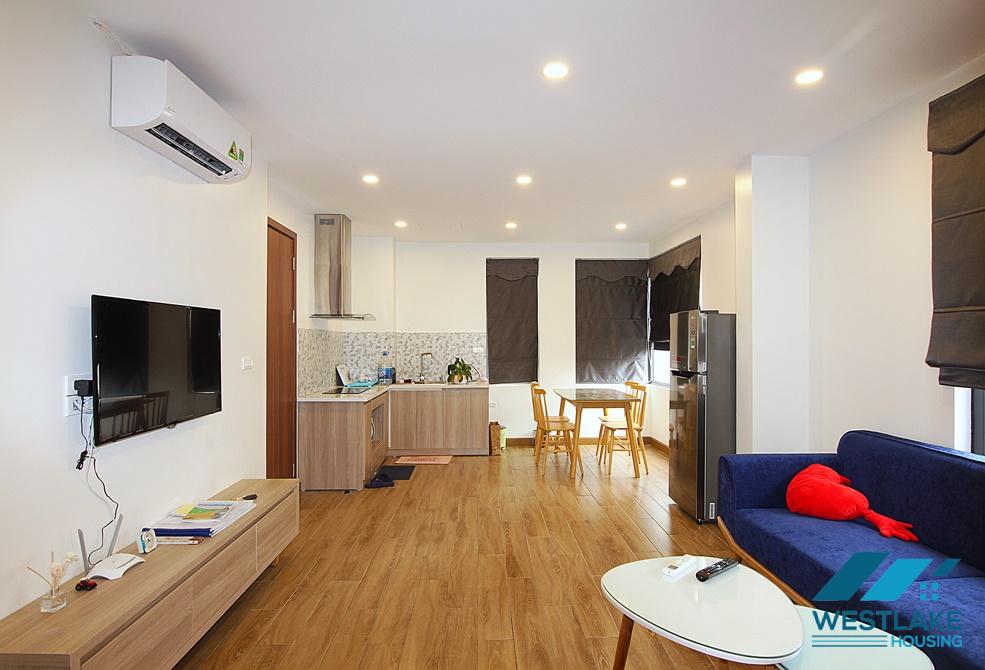 Nice-Spacious one bedroom apartment for rent in Nhat Chieu